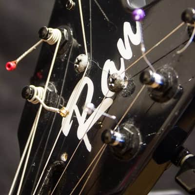 RAN Ironbird ( Vader / Decapitated ) image 4