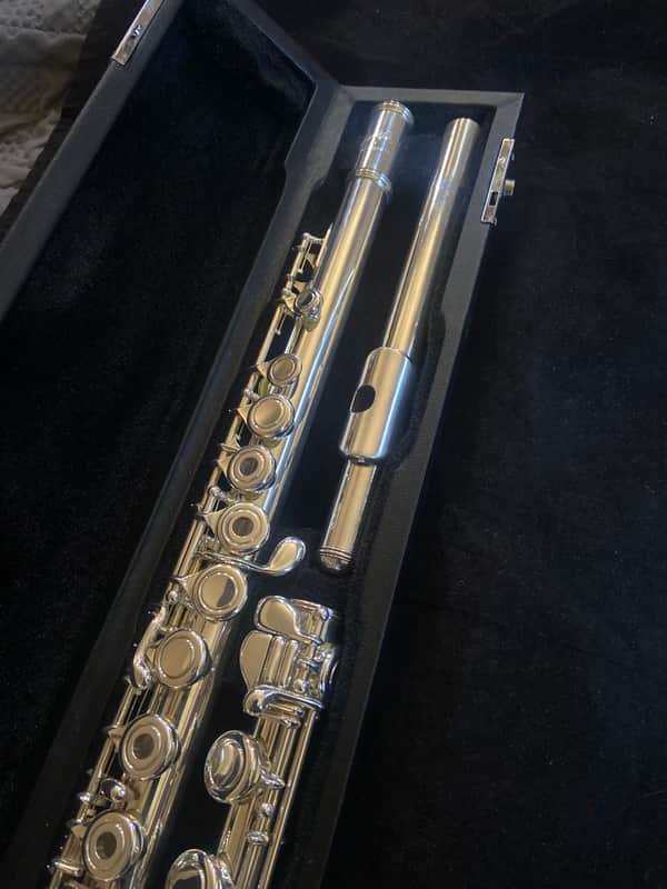 Haynes Giarindinelli GFL 10 mid 2000s - Silver plated image 1