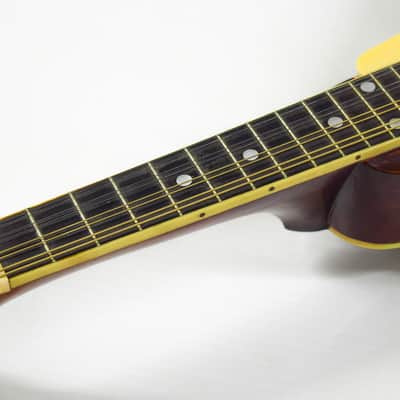 Gibson A-3 Mandolin 1919 - Ivory image 9