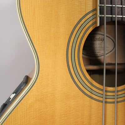 Washburn Vantage VB30CE Acoustic-Electric Cutaway Bass Natural w/OHSC image 19