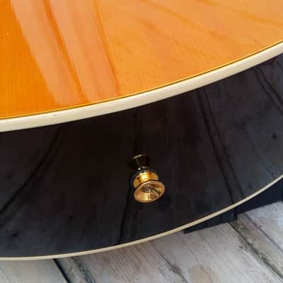 ELYPSE Electro acoustic folk cutaway + original Gigbag 2000 image 16