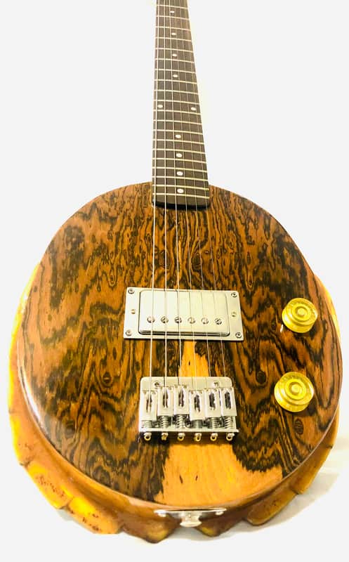 Turtle Shell Electric Guitar image 1