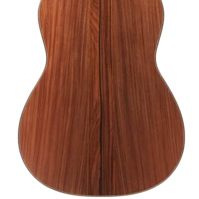 Jellinghaus Master Built Torres 1A 114 Spruce Pau Ferro B-Stock image 8