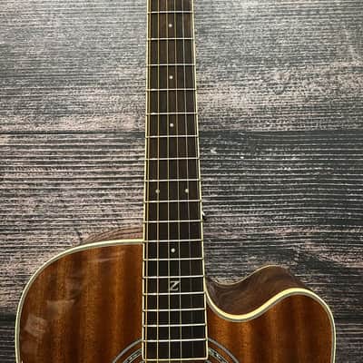 Zager ZAD50CE MHGT Acoustic Electric Guitar (Sarasota, FL) image 3