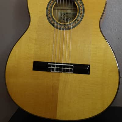 Green Mountain Flamenco Pro 2025 - Polyurethane laquer image 3