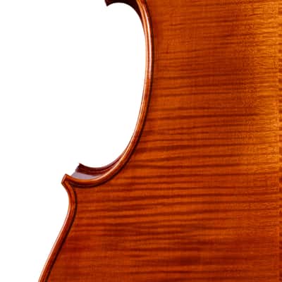Great Stradivari Cello 4/4 from Flamed Maple - Hand-Made in Romania 2025 #59 image 6