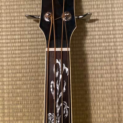 Michael Kelly Dragonfly 4-String Fretless Acoustic Bass image 4
