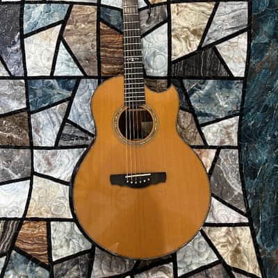 2009 Kevin Ryan Paradiso - The Prototype for this Model Serial #000 !! image 1