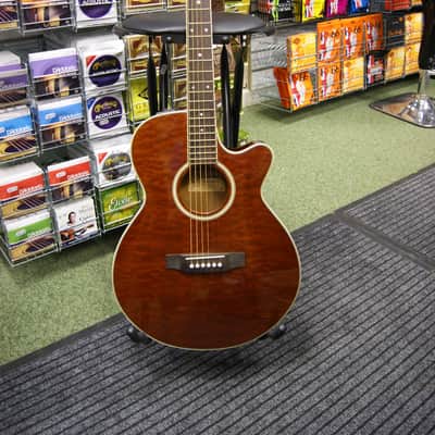 Takamine Jasmine acoustic guitar S/H image 1