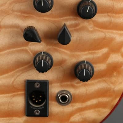 Alembic Series  II Five String Fretless Active Bass image 16
