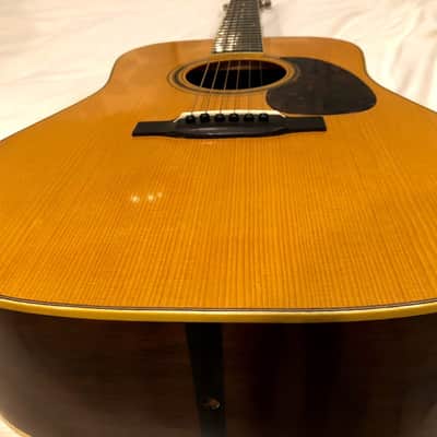 Dudenbostel Super 18 Dreadnought image 1