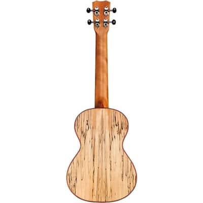 Cordoba 24T Spruce Spalted Maple Tenor Ukulele, Rich Tone & Stunning Looks image 8