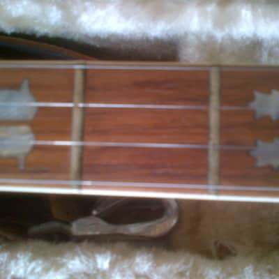 Framus Derroll Adams M-Line 5 string banjo 1976 Natural image 7