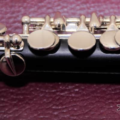 TAKEZAWA 205 EVR Wooden Piccolo image 11