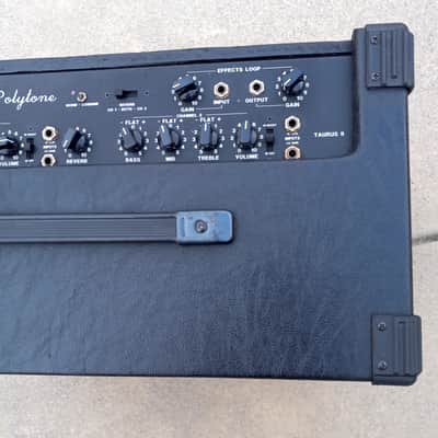 Polytone Taurus 2 - Nearly Mint! Never Gigged! FX LOOP image 6