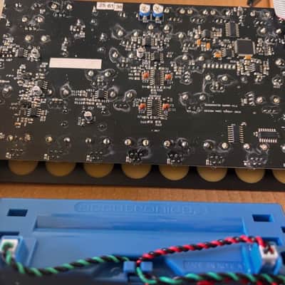 EOWAVE QUADRANTID SWARM EURORACK module image 2