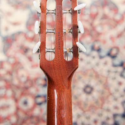Godin Multiac Steel Duet Ambiance | Natural image 23