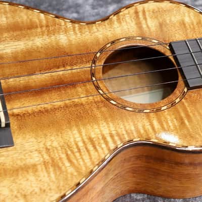 Kamaka 2020 HF-2DI Concert Deluxe Gloss Top image 3