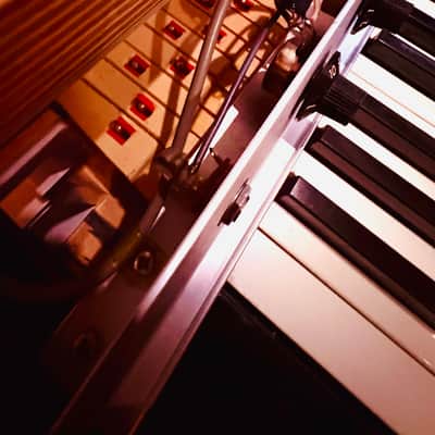 Rhodes Piano Bass - Black image 8