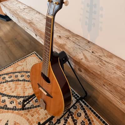Trinity College TM-250 Celtic Mandolin – All-Solid Woods, One-Owner "Closet Classic" with Mint Original Hardshell Case image 2