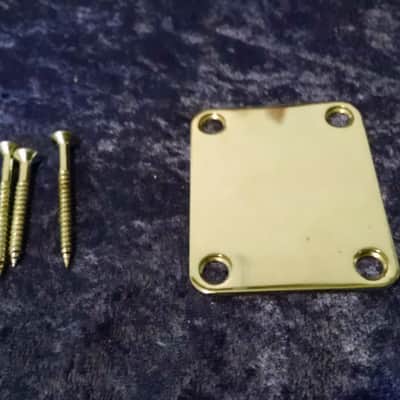 1990s Mighty Mite Chrome Neck Plate w/screws image 1