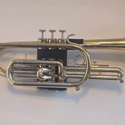 Blessing B-123 Cornet - Lacquered brass/silver image 1