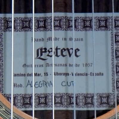 Esteve Alegria crossover cutaway / lattice braced / cedar top image 4
