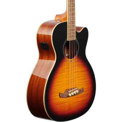 Fender FA450CE Acoustic-Electric Bass image 1