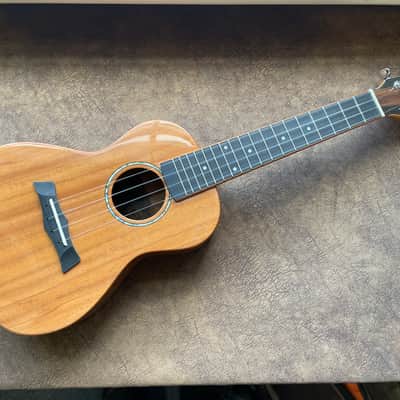 Snail SUC-M3  2025 - Gloss Workshop repair Ref no 149 Bild 3