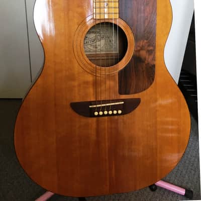 Very Rare 1970's Ernie Ball Earthwood Vintage Acoustic 6 String Guitar image 2