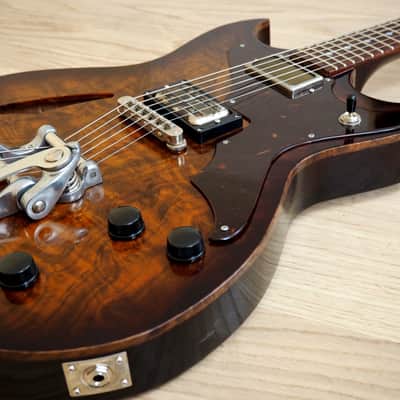 2015 Echopark Custom Crow Case Study Boutique Semi-Hollowbody Electric Guitar w/ ohsc, QOTSA image 6