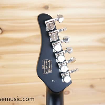 Schecter PT EX - Dorian Gray image 14