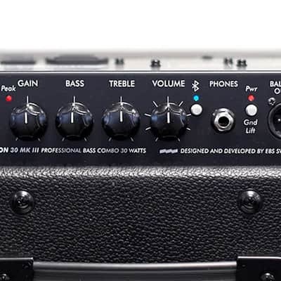 EBS 30-Watt MK3 Session Combo Bass Guitar Amplifier 1x8 Speaker, Model EB-30SMK3 image 2