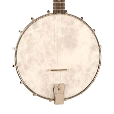 Recording King RKT-05 Dirty 30s Open Back Tenor Banjo