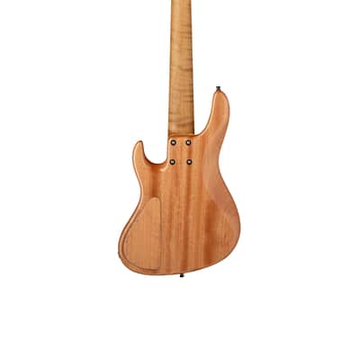 *PRE-SALE* Sadowsky Masterbuilt 2021 LTD 24-Fret Modern 5-String, Claro Walnut, 30 Worldwide image 4