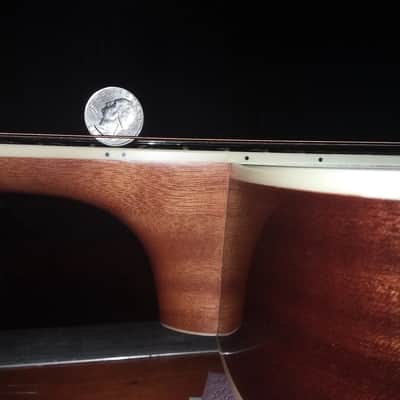 Washburn WF 11S Natural image 6
