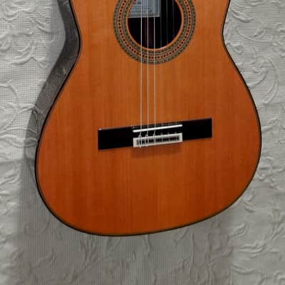 Esteve Alegria crossover cutaway / lattice braced / cedar top/48 mm nut width image 6