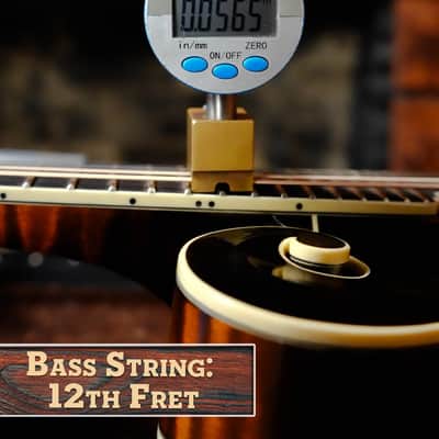 Gold Tone Grandmaster Mandolin Elite - Burst Finish #5307 image 15