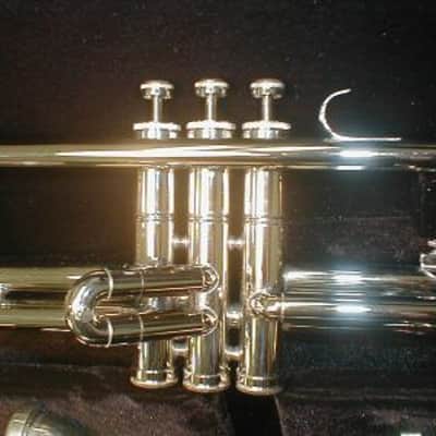 Brand new Valve trombone, with case and mouthpiece image 2