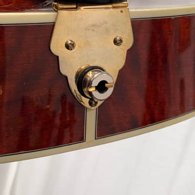 Eastman AR810CE – 2010 image 22