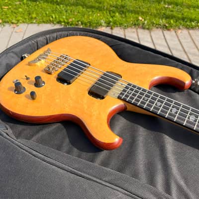 Alembic Spoiler SMB5 - Birdseye Maple Top - Made in USA (1985) image 11