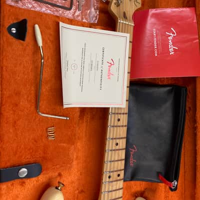 Fender Limited Edition American Professional Stratocaster 2018 - Vintage White/Gold Hardware image 22