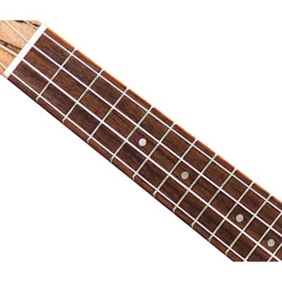 Cordoba 24S Spruce Soprano Ukulele w/ Spalted Maple Back image 3