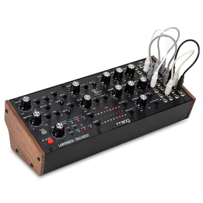 Moog Labyrinth imagen 1