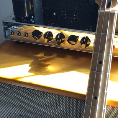 Trinity TripTop (Ampeg B-15 Clone) image 1