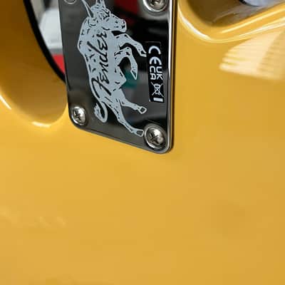 (Garland, TX) Fender Britt Daniel Telecaster Thinline 2023 - Amarillo Gold image 17
