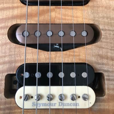 Immagine Charvel Guthrie Govan Scalloped Neck - 14
