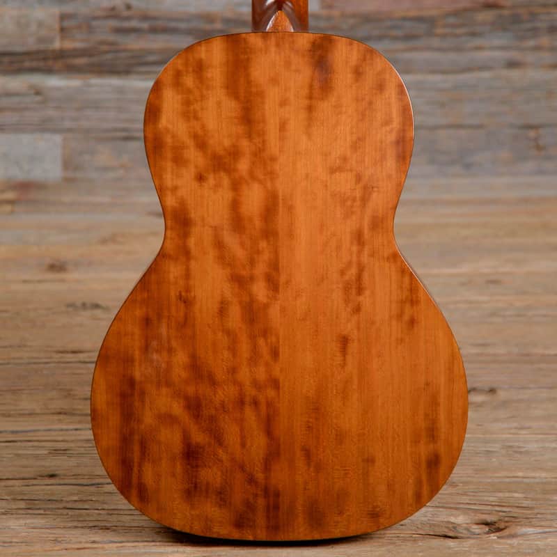Waterloo WL-S Parlor Acoustic Bild 5