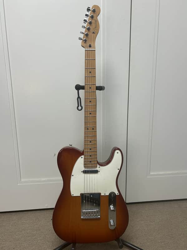 Fender Ltd Ed Player Telecaster with Roasted Maple Fretboard - Sienna Sunburst image 1