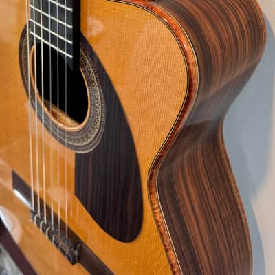 Buscarino Cabaret Custom Nylon String Classical Used (2014) image 4